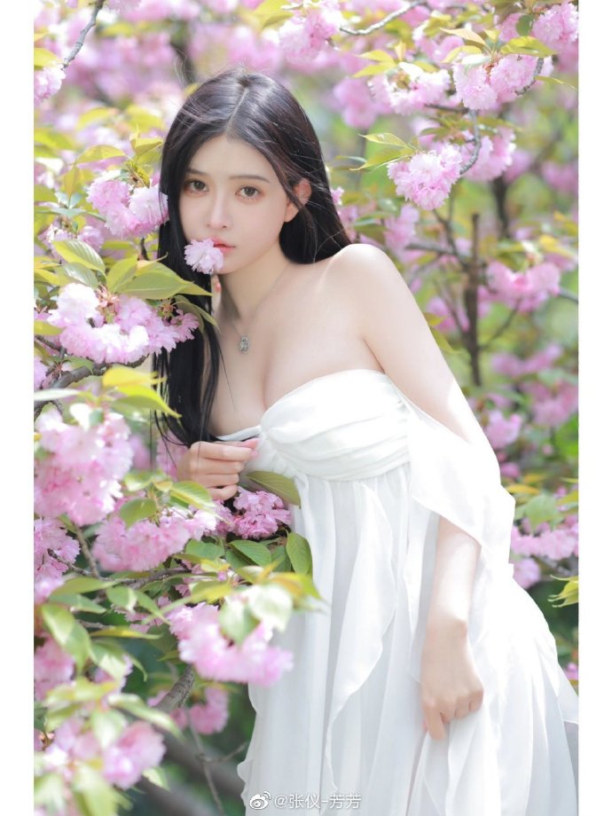 电视剧《野狗骨头》，总结人物关系，盘点角色结局